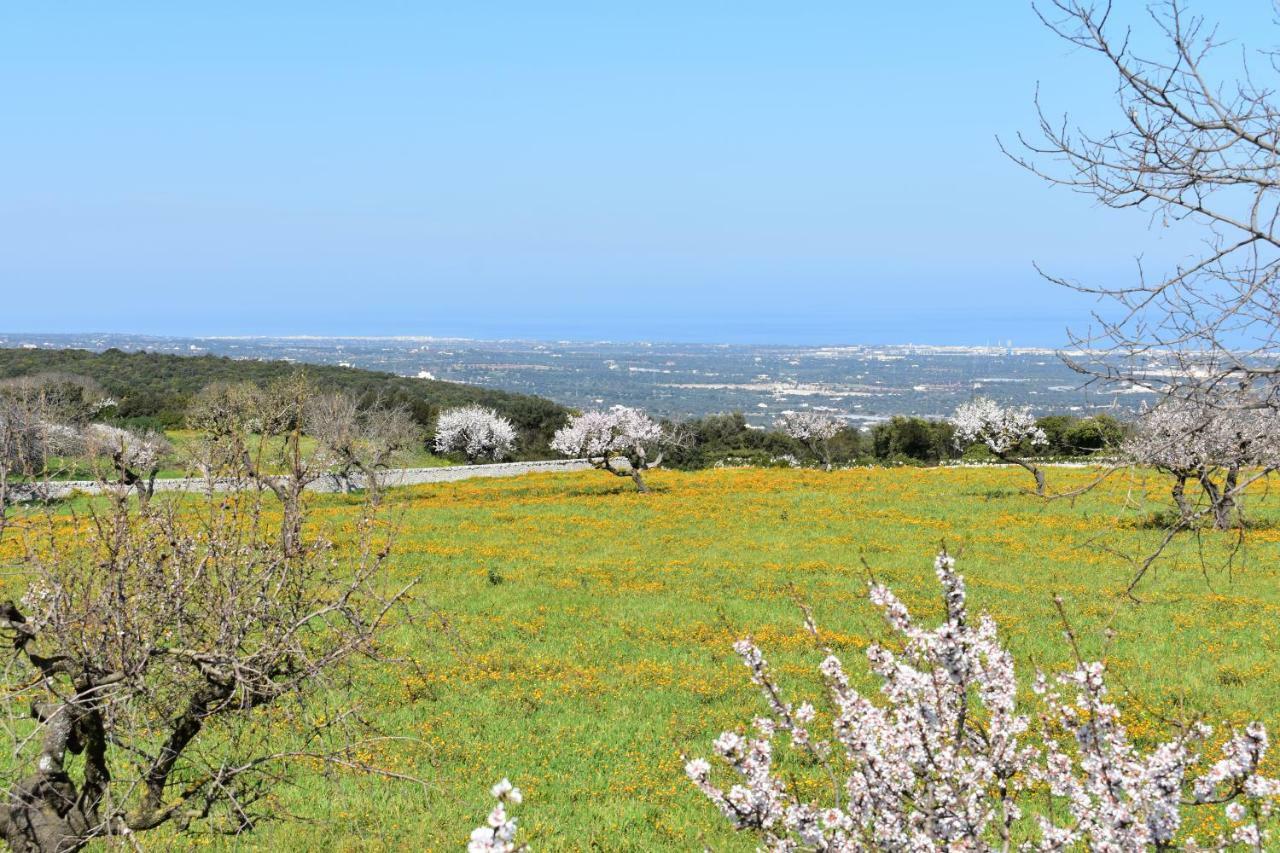 Gorgo Rinaldi - Locazioni Brevi Pension Monopoli Buitenkant foto